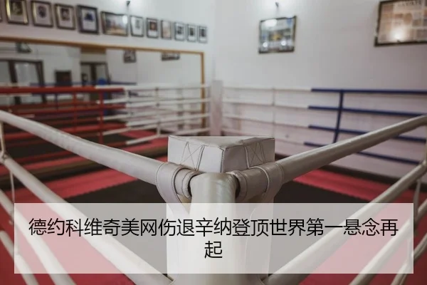 德约科维奇美网伤退辛纳登顶世界第一悬念再起