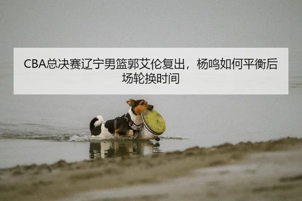 CBA总决赛辽宁男篮郭艾伦复出，杨鸣如何平衡后场轮换时间